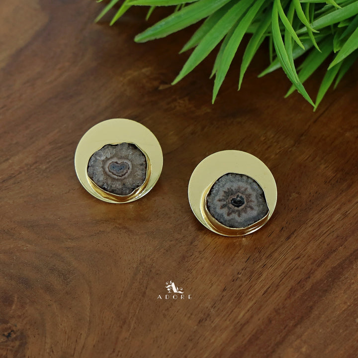 Golden Coin Agate Earring