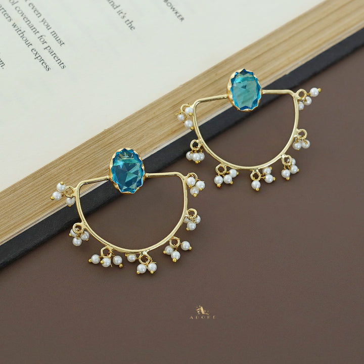 Glossy Alluring Earring