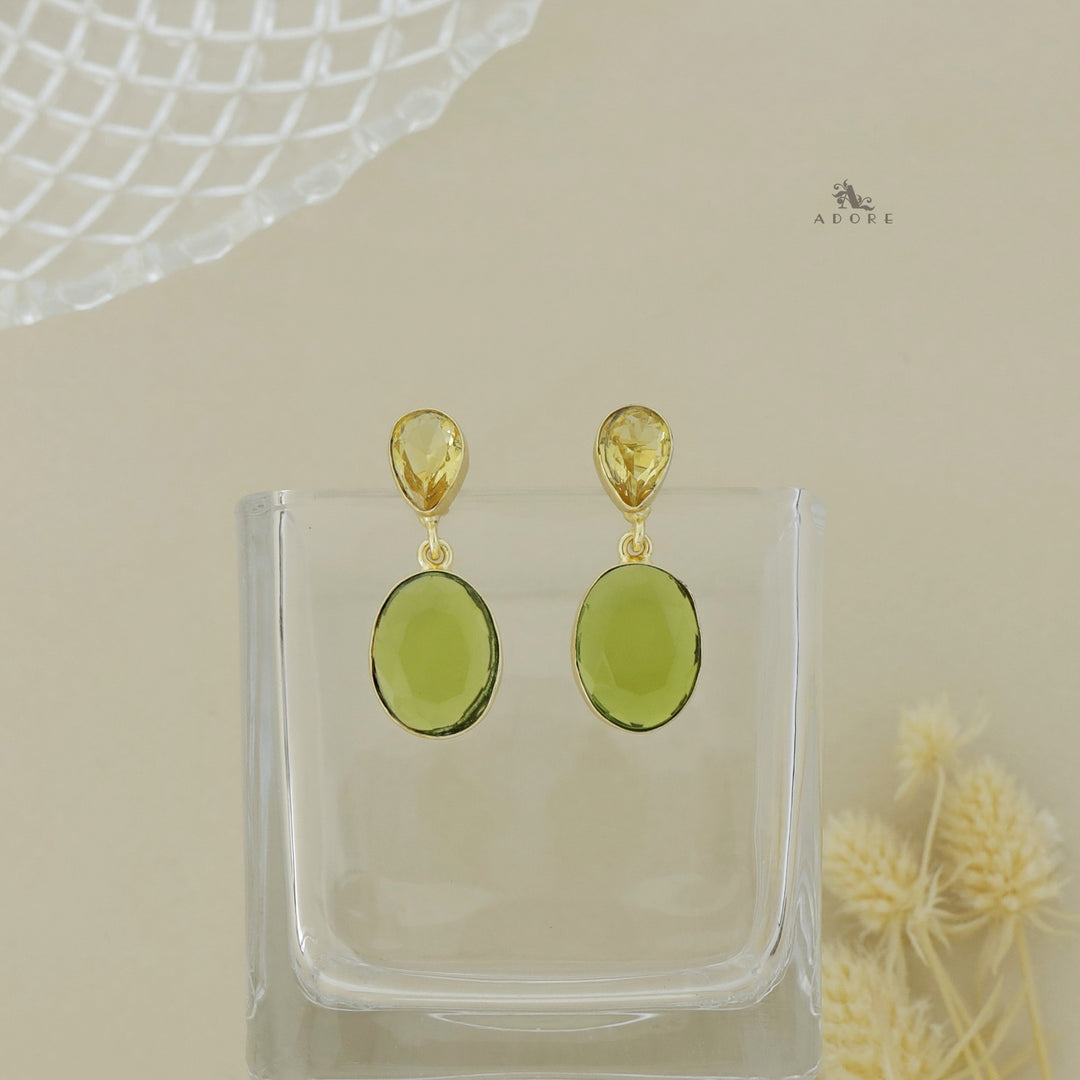 Glossy Drop and Oval Stone Earring