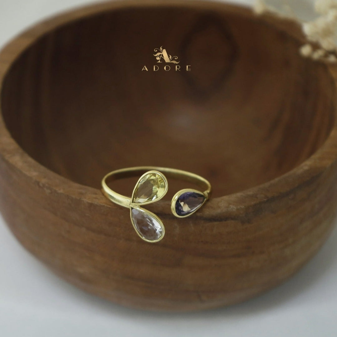 Medora Golden Glossy Ring